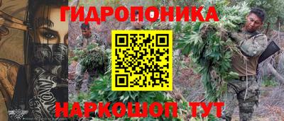 apvp Лесосибирск