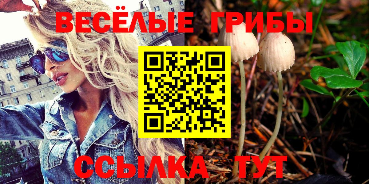 Псилоцибиновые грибы GOLDEN TEACHER Верхняя Салда